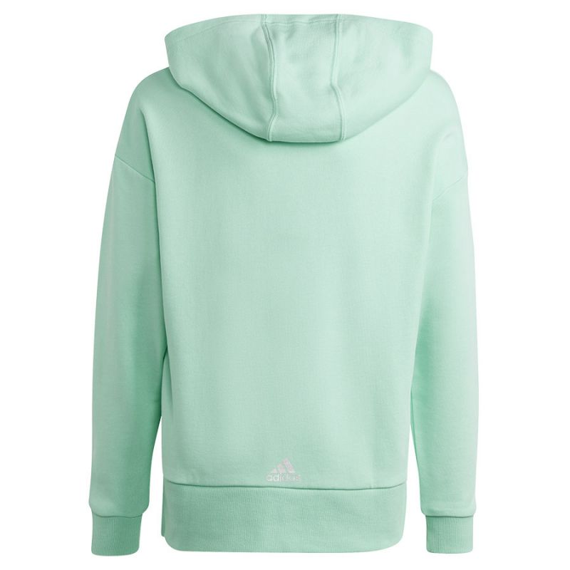 Adidas D Hoody Jr HR5825 sweatshirt