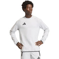 Men's adidas Tiro 26 Travel Crew sweatshirt white KD3323