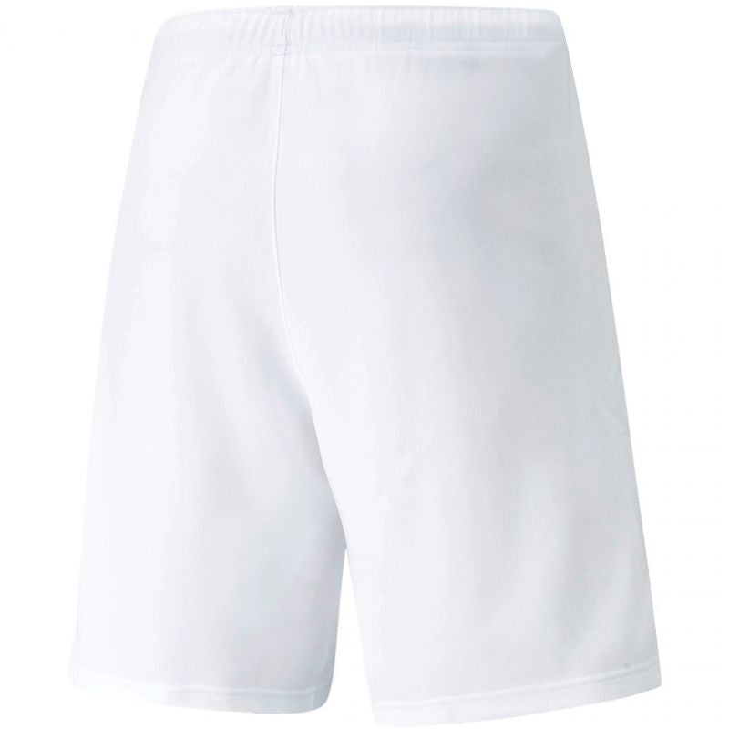 Puma teamRISE Shorts M 704942 03
