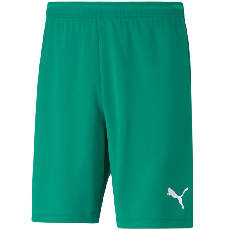 Puma teamRISE Shorts M 704942 05