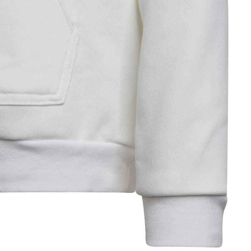 Adidas Entrada 22 Hoody Jr HG6303 sweatshirt