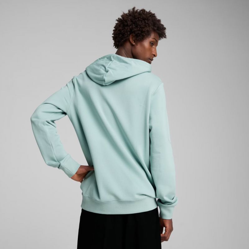 Puma Ess 2 Color Small No.1 Logo Hoodie TR M 684719 67