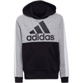 Adidas U CB FL Hoodie Jr HC5658 sweatshirt