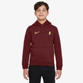 Nike Liverpool FC NSW Club PO Hoodie Jr FZ4149-619