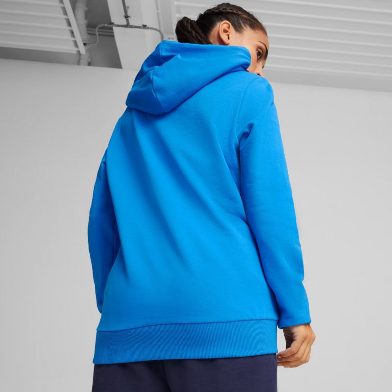 Puma Team Goal Casuals Hoody W 658621 02