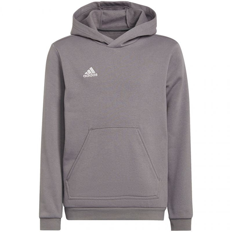 Adidas Entrada 22 Hoody Jr Felpa H57515