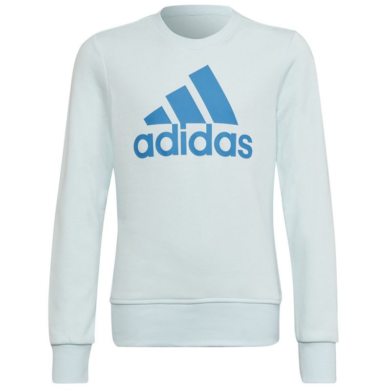 Adidas Big Logo Swt Jr HM8707 sweatshirt