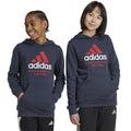 Adidas Manchester United Kids Jr IT4199 sweatshirt