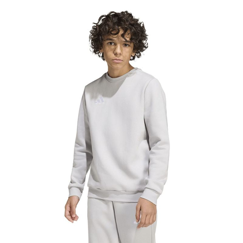 adidas Entrada 26 Maglia Sweat per bambini grigio JZ6551