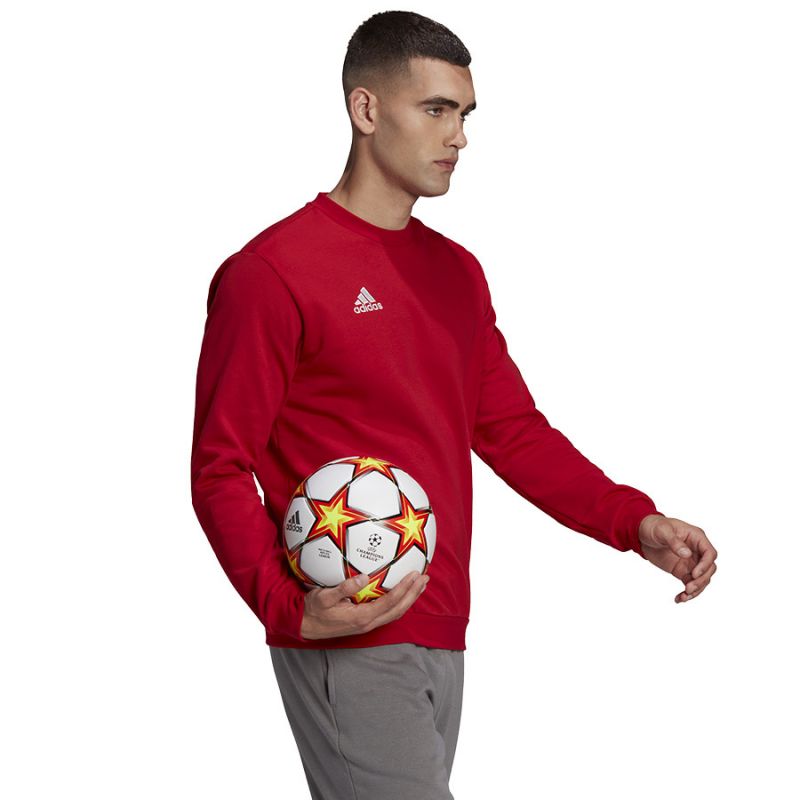 Adidas Entrada 22 Sweatshirt M HB0577
