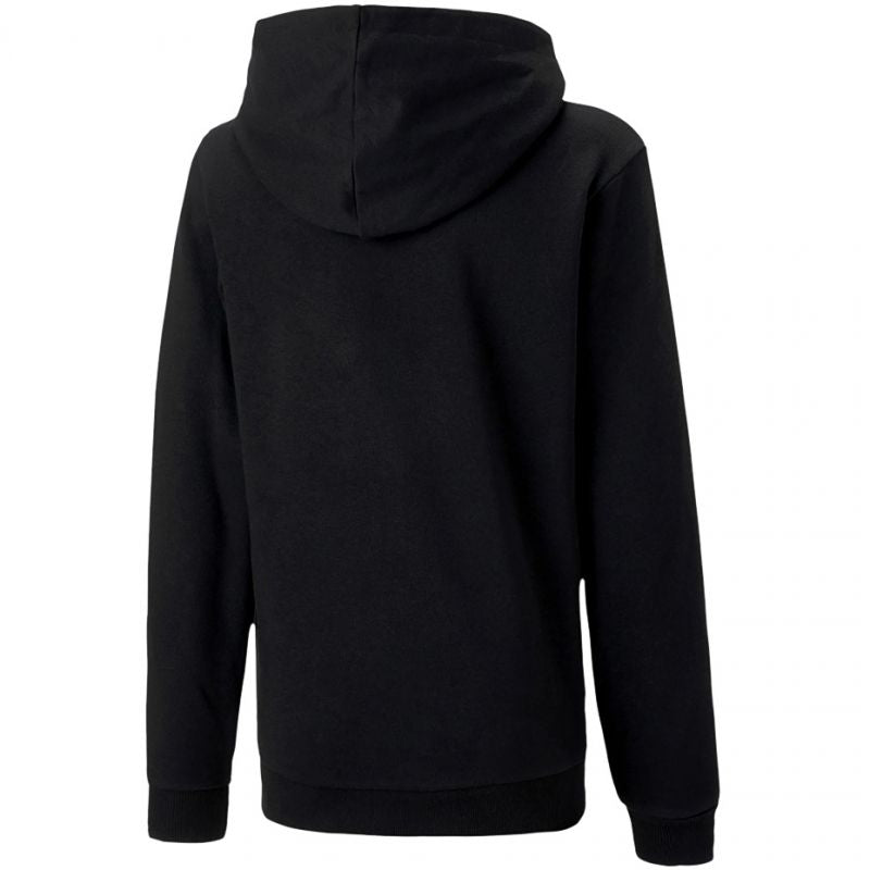 Puma teamGOAL 23 Casuals Hoody Jr sweatshirt 656711 03