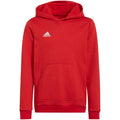 Adidas Entrada 22 Hoody Jr sweatshirt H57566