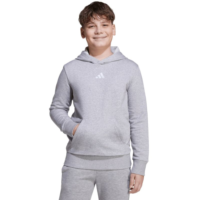 adidas Essentials Hoodie for kids gray JV9995