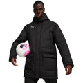 Puma Team Final Winter Men's Jacket Black 658569 03