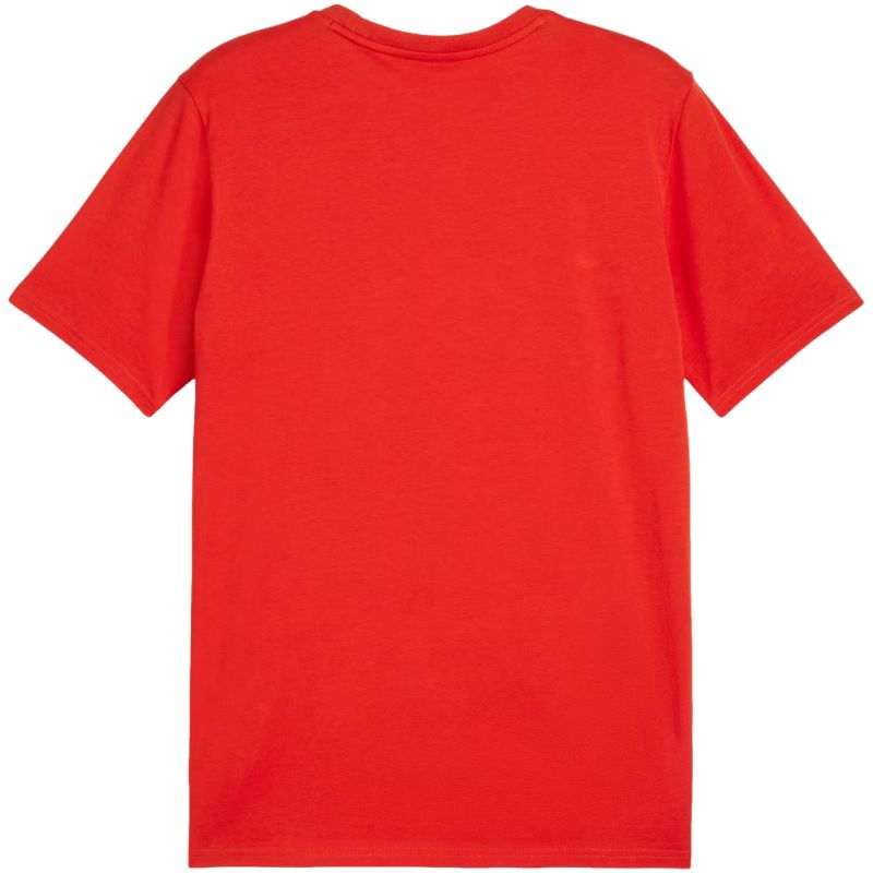 Puma Team Goal Casuals Tee M 658615 01