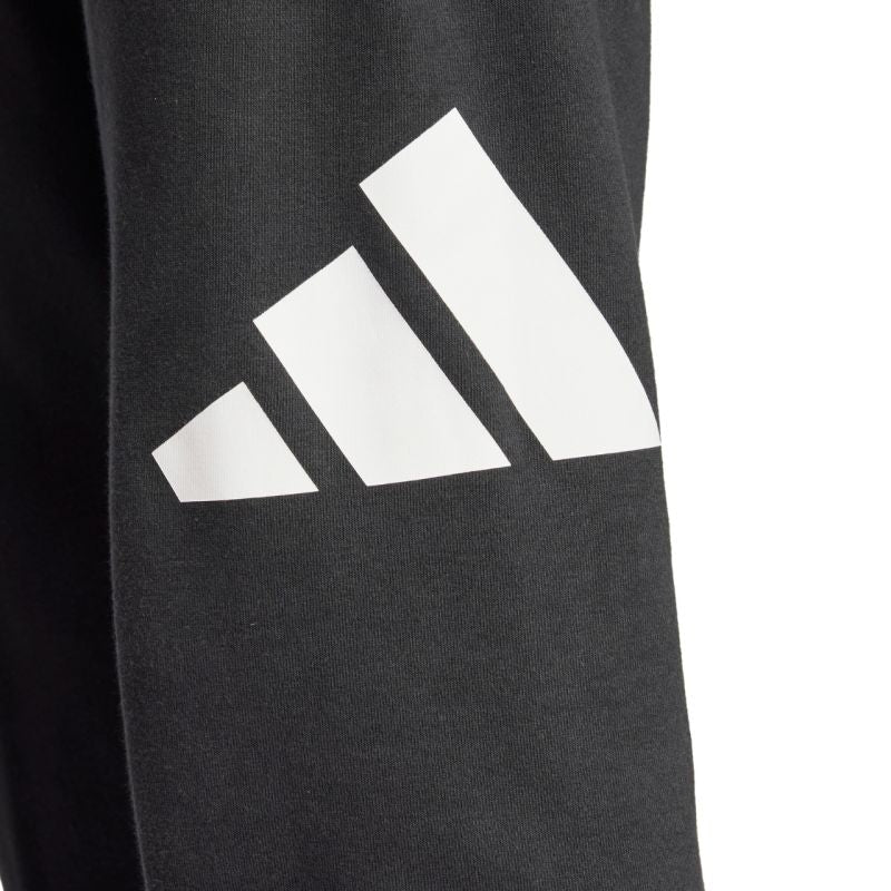 Adidas Essentials Big Logo French Terry M IN6163 pants