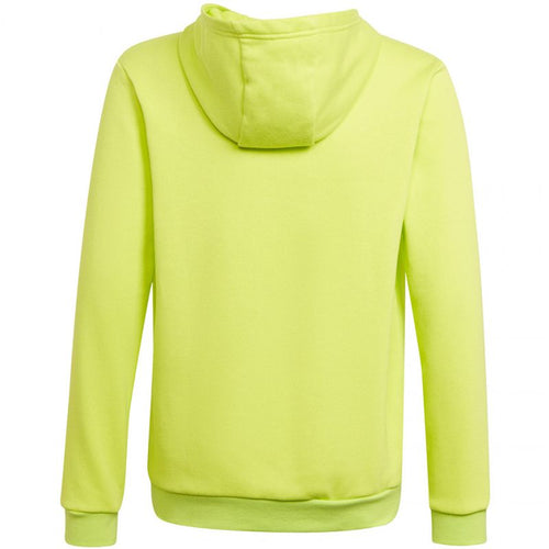 Adidas Entrada 22 Hoody Jr HC5069 sweatshirt