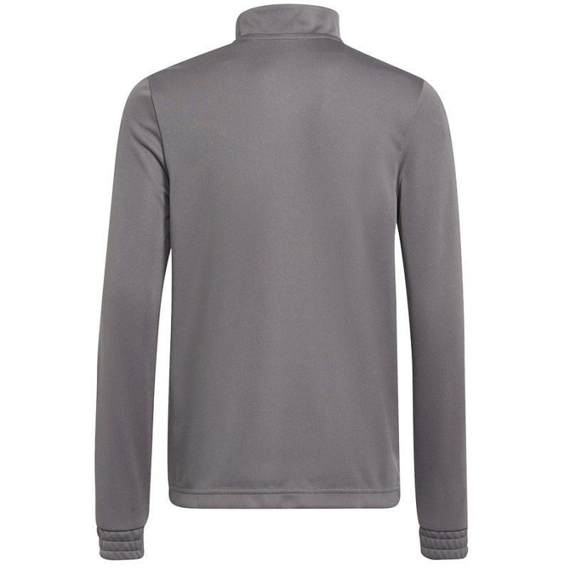 Adidas Entrada 22 Training Top Jr H57549 sweatshirt