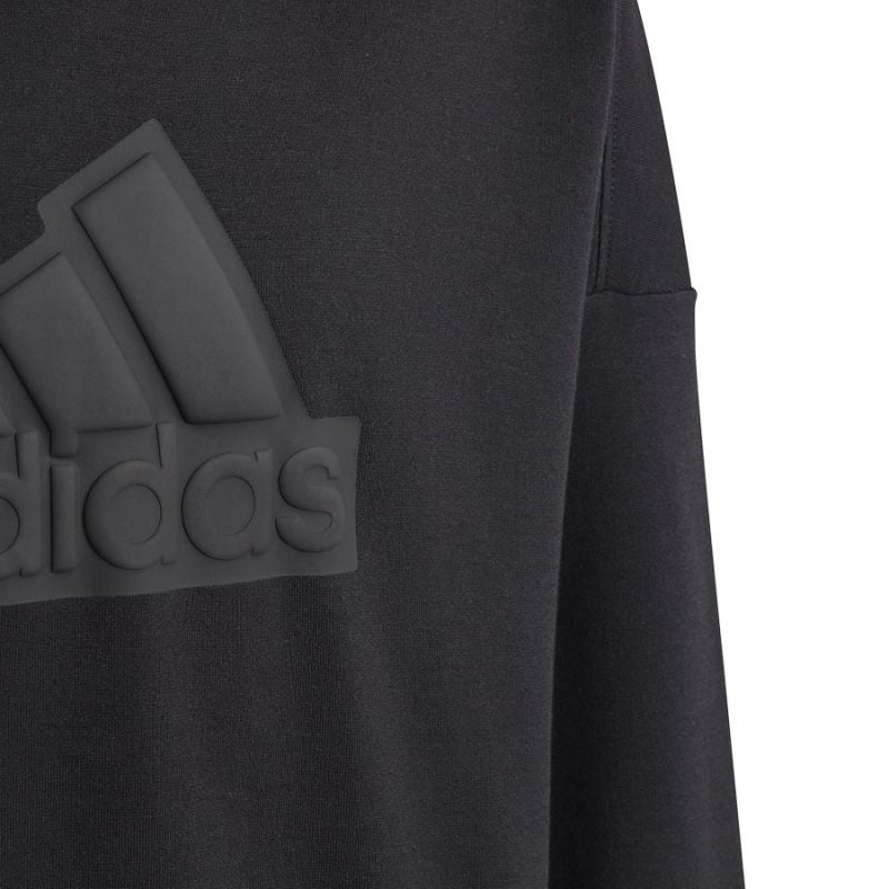 Felpa adidas FI Logo HD Jr HR6301