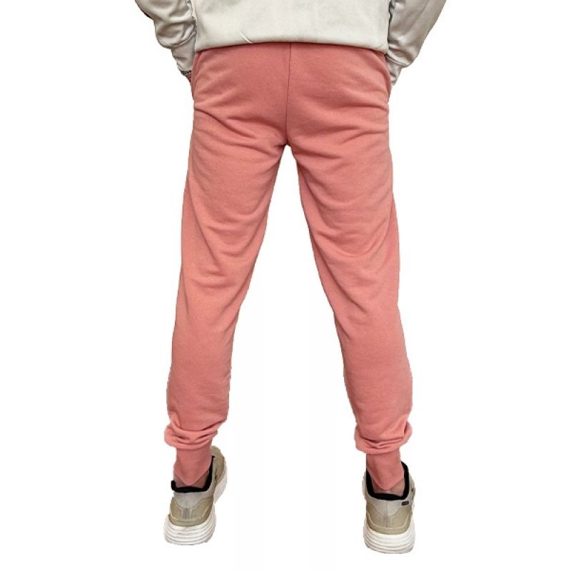 Puma Ess+ 2 Col Logo Pants M 586768 62