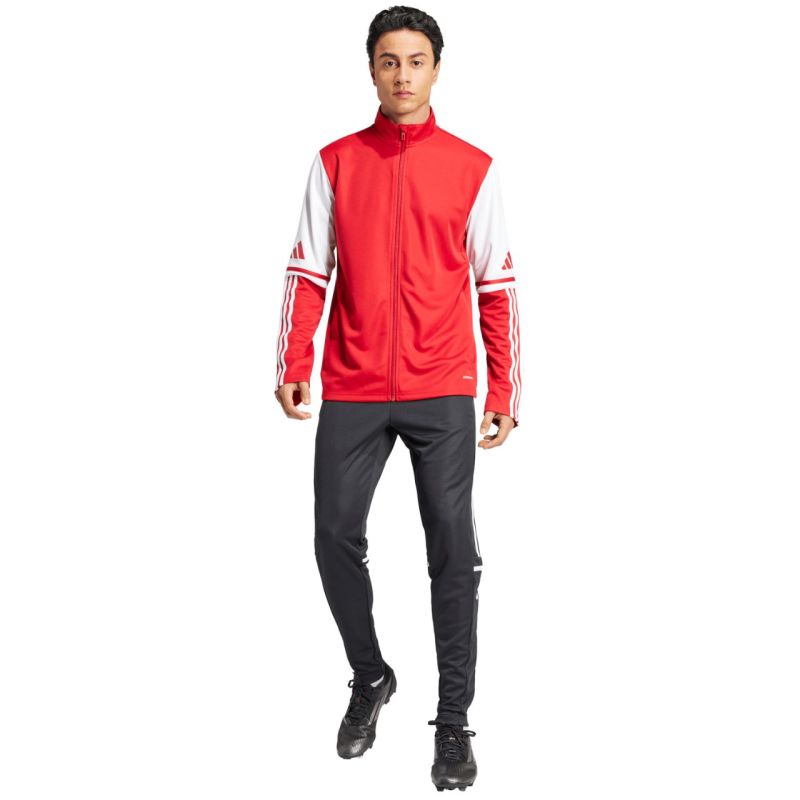 Adidas Squadra 25 Training M sweatshirt JD2979