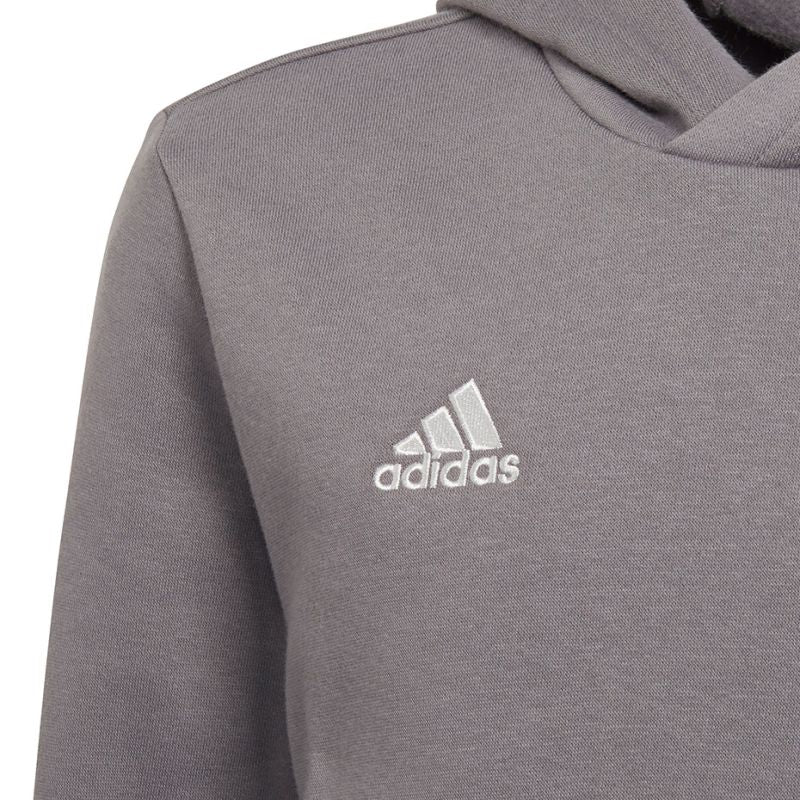 Adidas Entrada 22 Hoody Jr Felpa H57515
