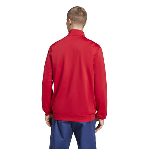 Felpa Adidas Bayern Monaco DNA TT M IT4154