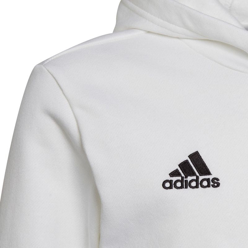 Adidas Entrada 22 Hoody Jr HG6303 sweatshirt
