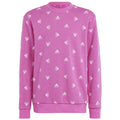 Adidas Bluv Swt Jr IC5573 sweatshirt