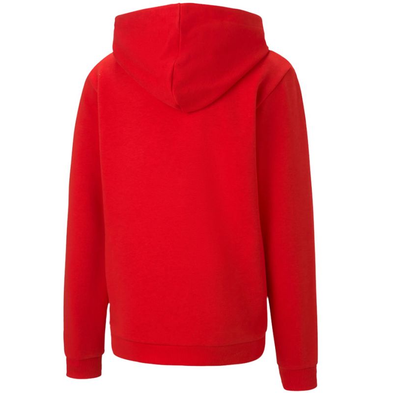 Puma teamGOAL 23 Casuals Hoody Jr 656711 01 sweatshirt