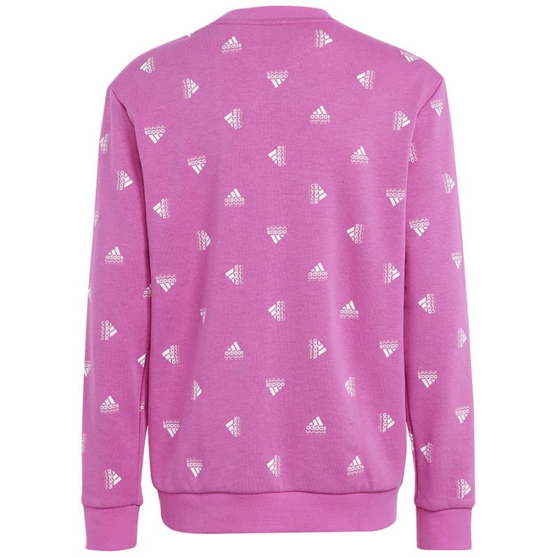 Adidas Bluv Swt Jr IC5573 sweatshirt