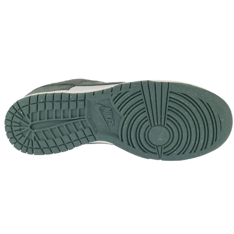 Nike Dunk Low W HJ7673-002 shoes