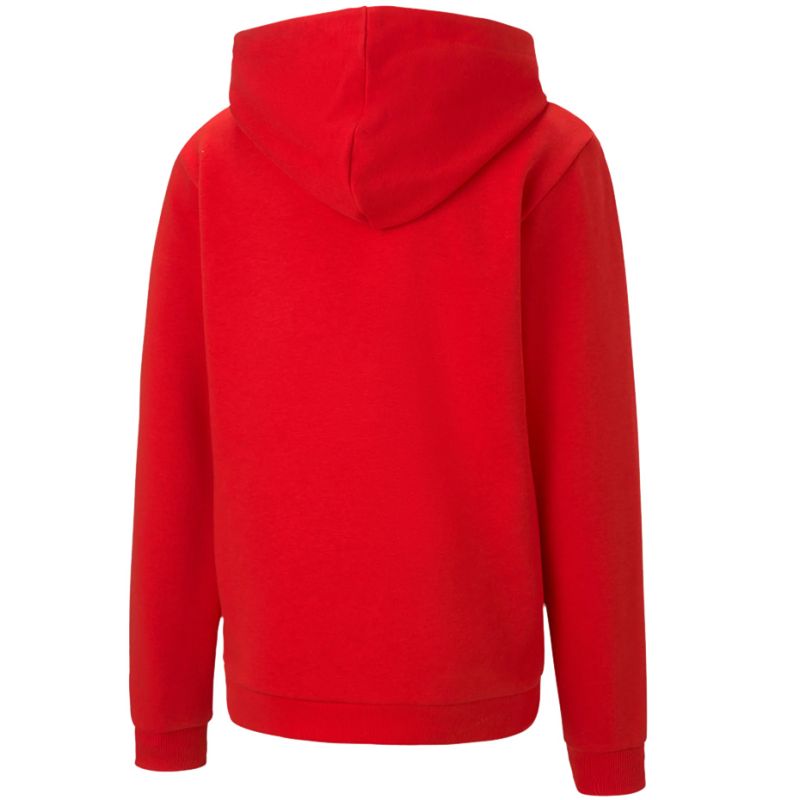 Puma teamGOAL 23 Casuals Hoody Jr 656711 01 sweatshirt