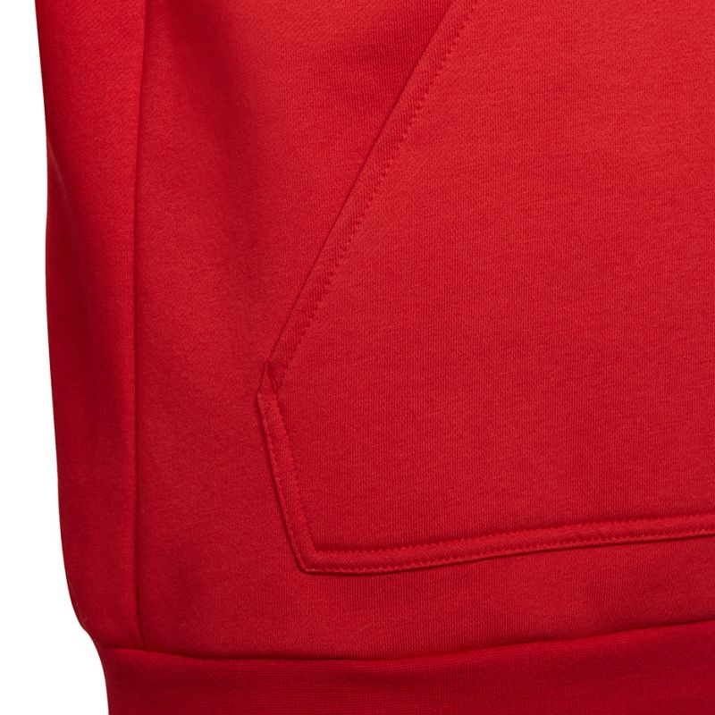 Adidas Entrada 22 Hoody Jr sweatshirt H57566