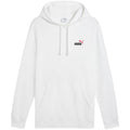Puma Ess 2 Color Small No.1 Logo Hoodie TR M 684719 02
