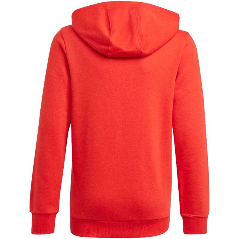 Adidas Essentials Big Logo Hoodie Jr GN4037 sweatshirt