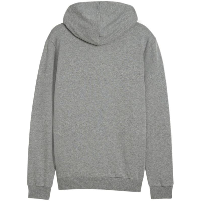 Felpa con cappuccio Puma Team Goal Casuals Hooded M 658595 33