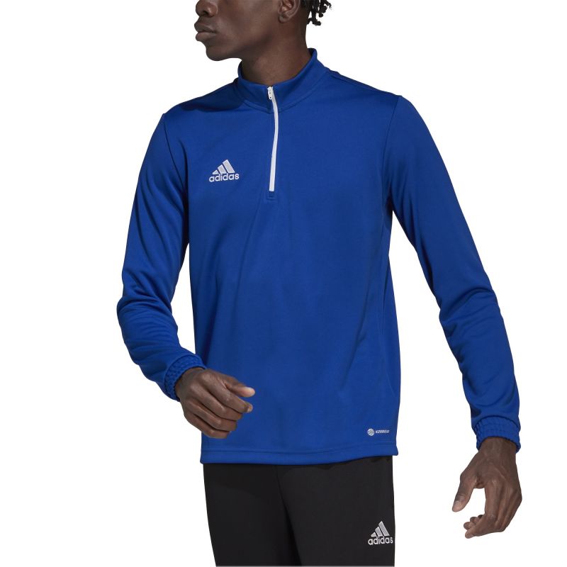adidas Entrada 22 M HG6286 training sweatshirt