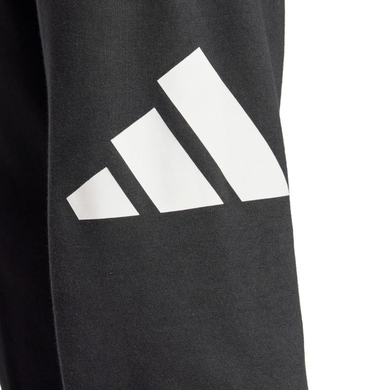 Adidas Essentials Big Logo French Terry M IN6163 pants