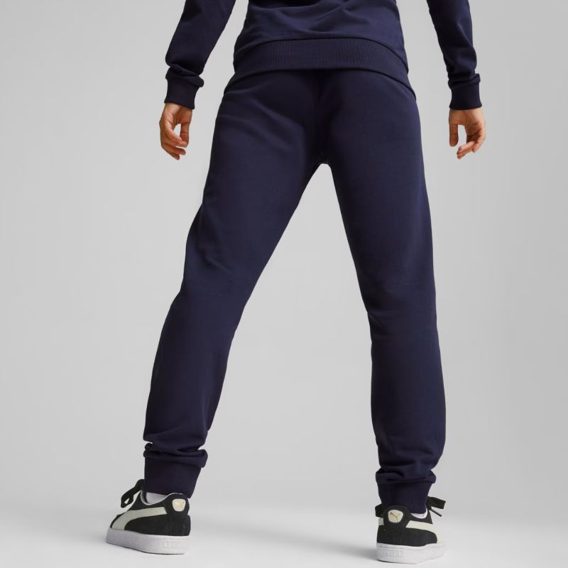 Pantaloni Puma Team Goal Casuals W 658604 06