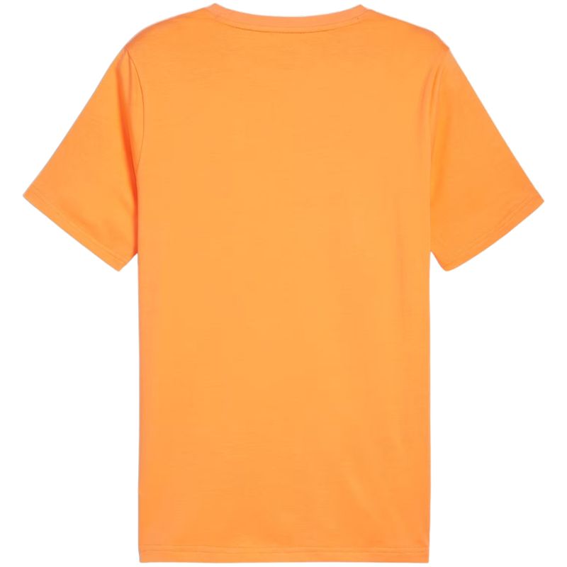 Puma Essential T-shirt M 847382 58