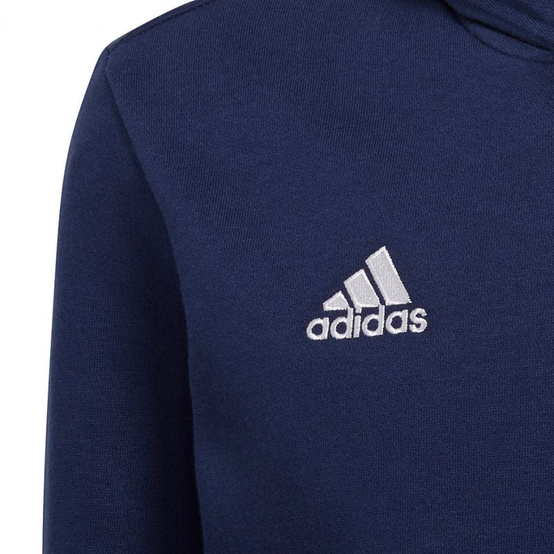Adidas Entrada 22 Hoody Jr Sweatshirt H57517