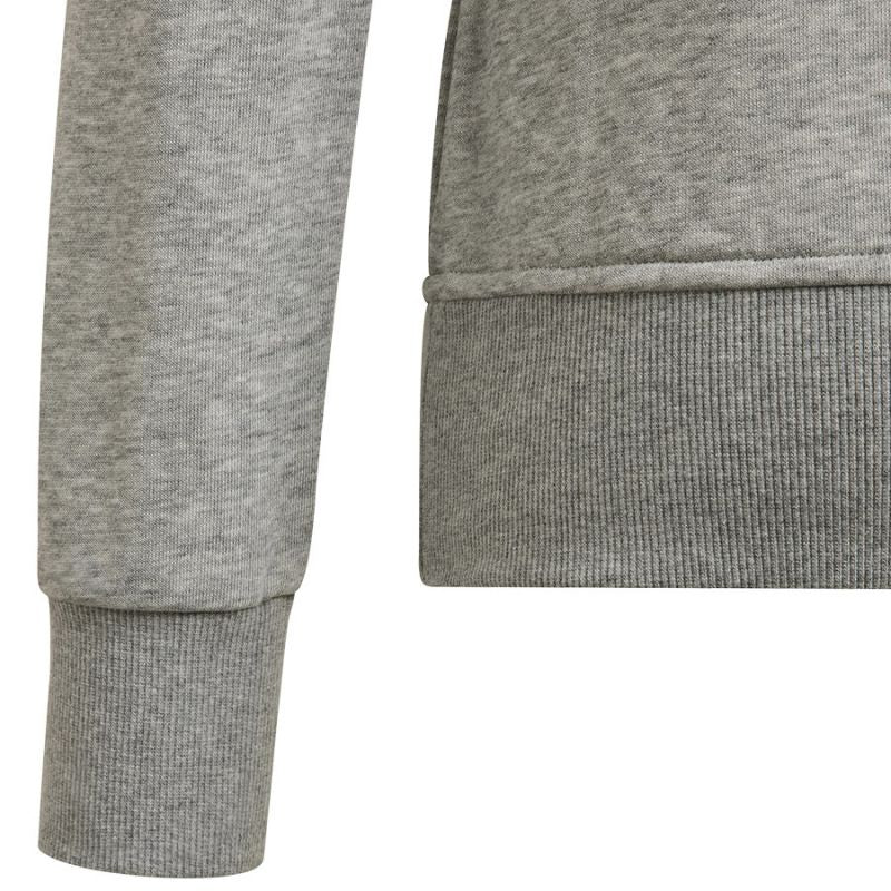 Adidas Big Logo Swt Jr HM8706 sweatshirt