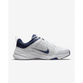 Nike Deyfallday M DJ1196-100 shoes