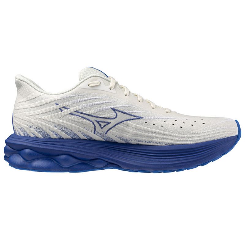 Mizuno Wave Skyrise 6 M J1GC250954 shoes