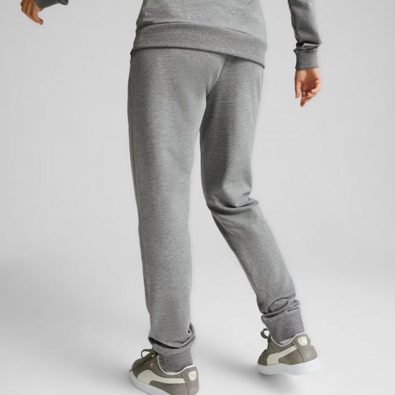 Puma Team Goal Casuals Pants W 658604 33