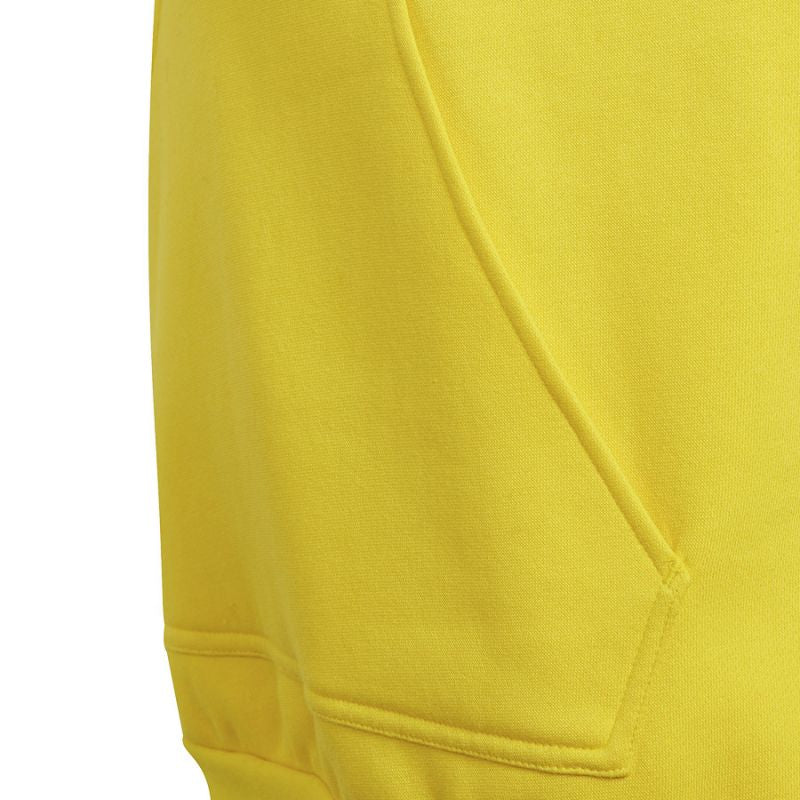 Felpa con cappuccio Adidas Entrada 22 Hoody Y Jr HI2142
