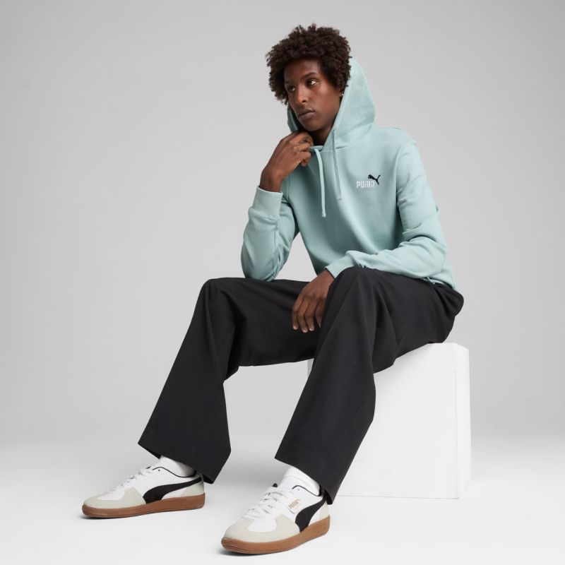 Puma Ess 2 Color Small No.1 Logo Hoodie TR M 684719 67