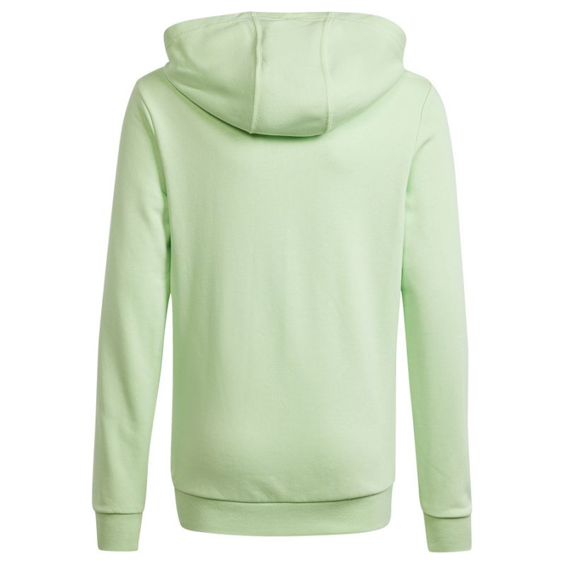Adidas Big Logo Hoodie Jr IS2591 sweatshirt