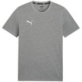 Puma Team Goal Casuals Tee M 658615 33